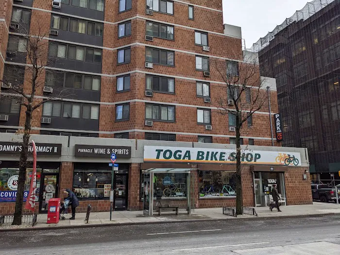 Toga Bike Shop Picture 4