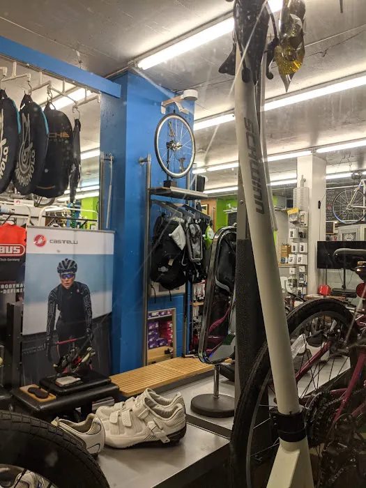 Toga Bike Shop Picture 5