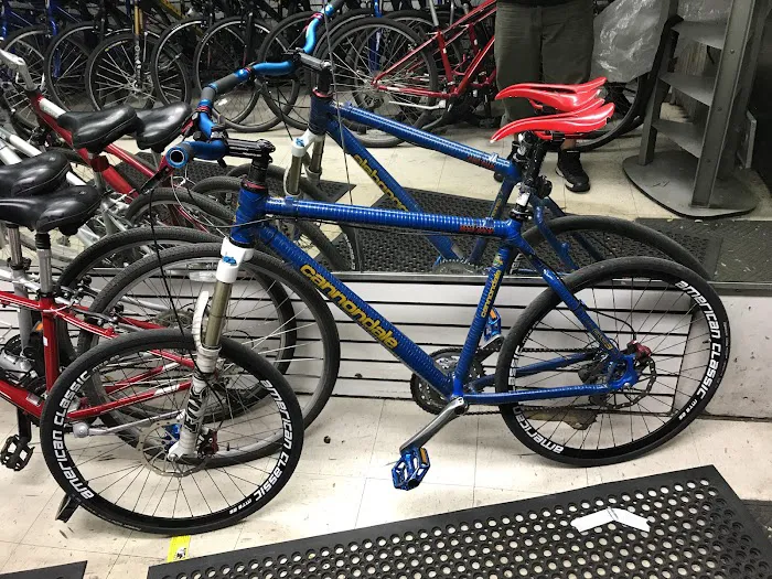 Liberty Cycles Picture 5