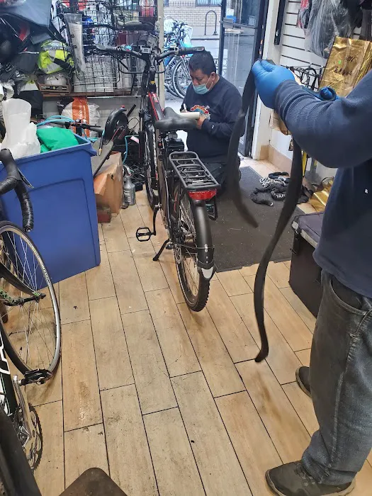 Bike Express LLC Picture 6
