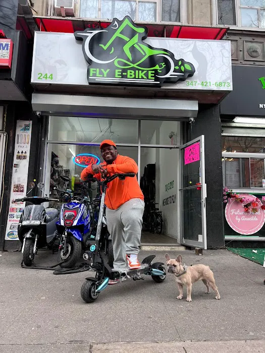 Fly E-Bike 14th Ave Picture 1