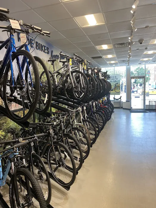 Trek Bicycle Stuyvesant Town Picture 5