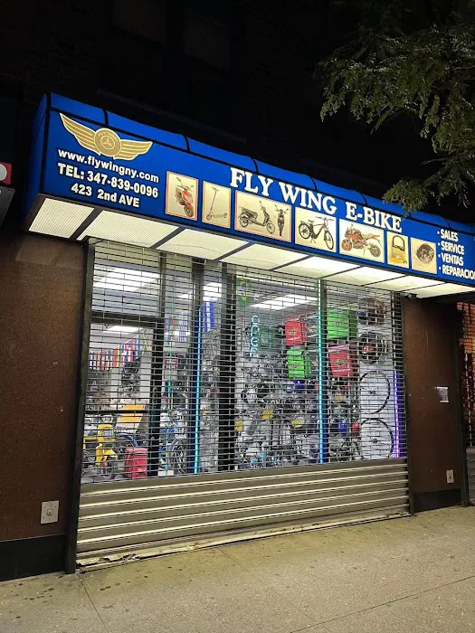 FLY WING E-BIKE MANHATTAN 2ND AVENUE Picture 2