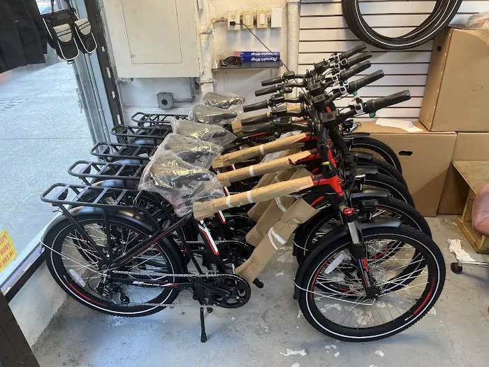 22 ELECTRIC BIKE INC Picture 3