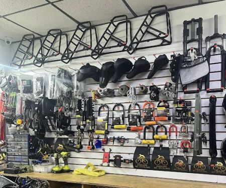22 ELECTRIC BIKE INC