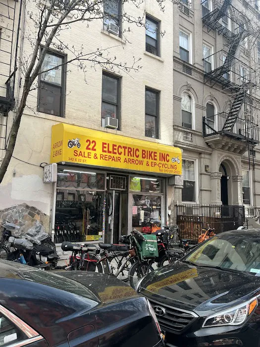 22 ELECTRIC BIKE INC Picture 2