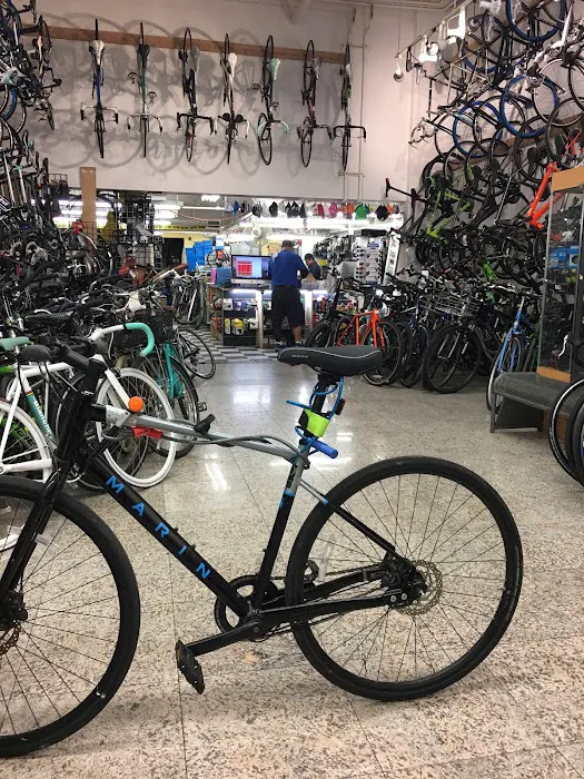 Spokesman Cycles Picture 3