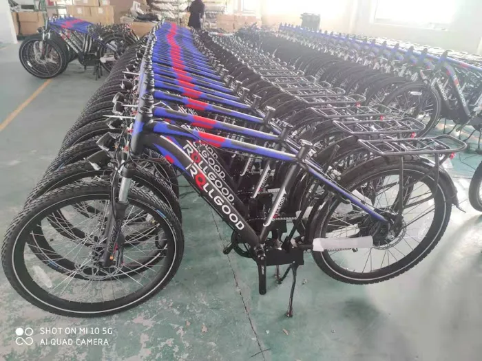 Rollgood Electric Bicycle Scooter Store Picture 2