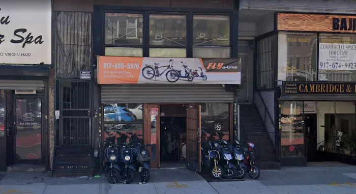 FLY WING E-BIKE Picture 4