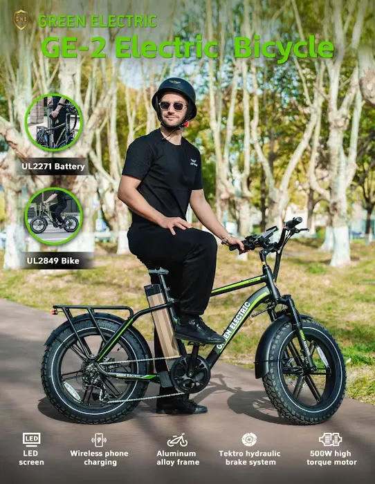 FLY WING E-BIKE Picture 6