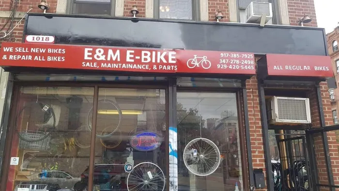E & M E-BIKE Picture 3
