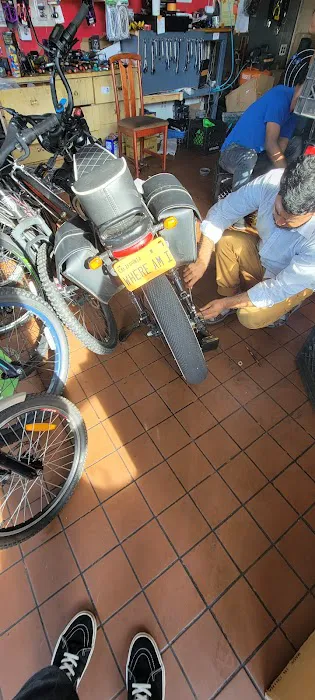 E & M E-BIKE Picture 1