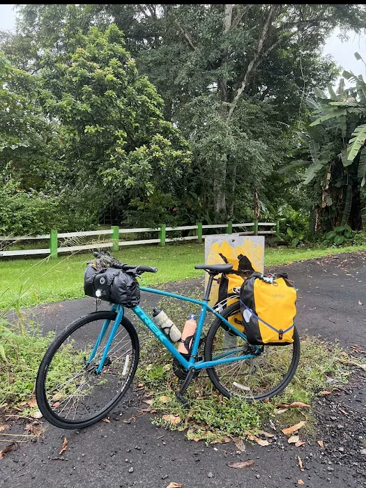JC Bicycle Picture 9