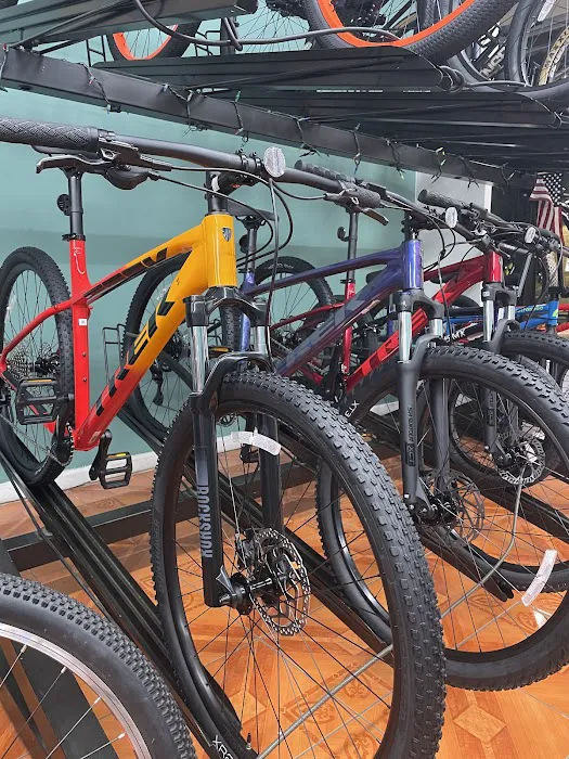 BikeLane Bicycle Store Picture 1