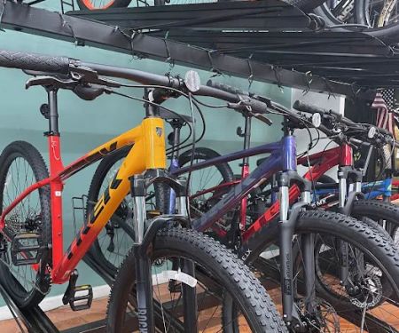 BikeLane Bicycle Store
