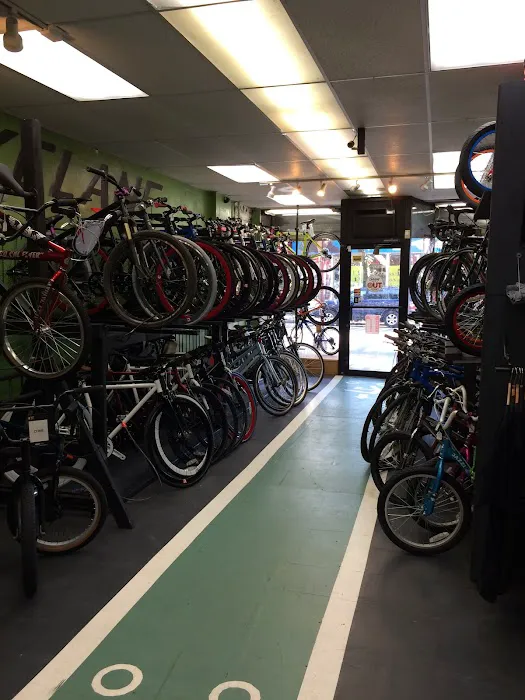 BikeLane Bicycle Store Picture 5