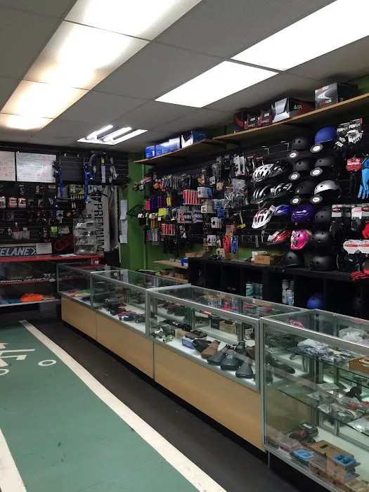BikeLane Bicycle Store Picture 6