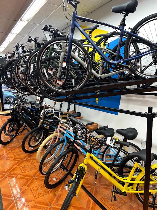 BikeLane Bicycle Store Picture 8