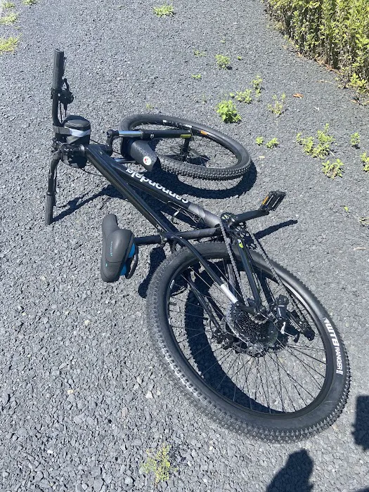 Bikeway Bicycles Picture 6