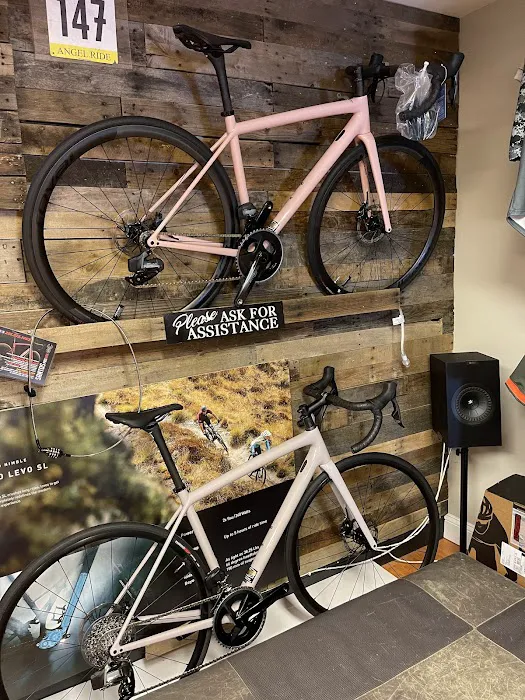 Albert's Westwood Cycle Picture 4