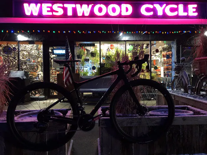 Albert's Westwood Cycle Picture 5