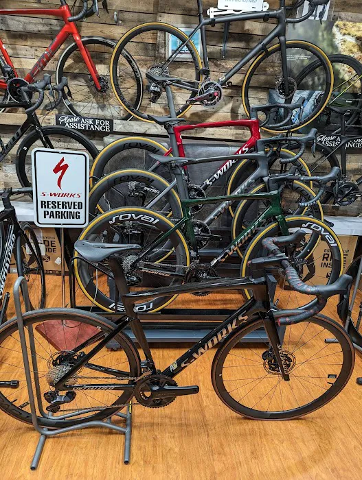 Albert's Westwood Cycle Picture 10