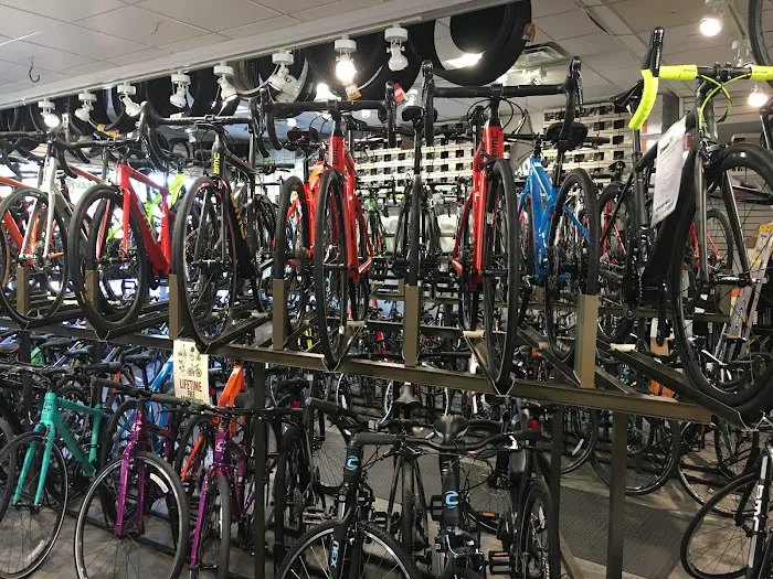 Piermont Bicycle Connection Picture 5