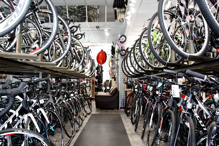 Piermont Bicycle Connection Picture 3