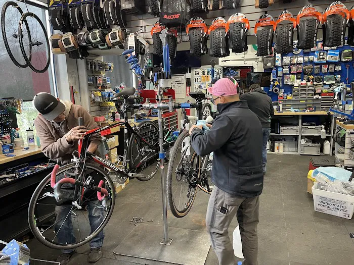 Piermont Bicycle Connection Picture 8