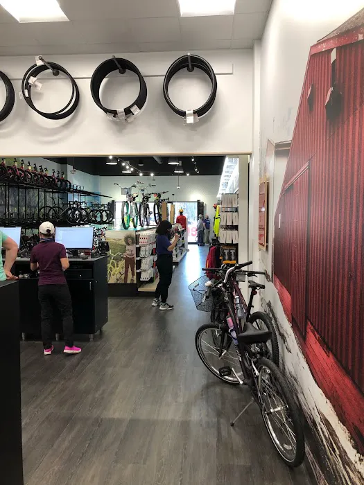 Trek Bicycle Closter Picture 3