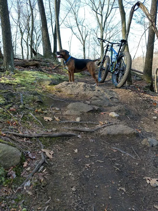 Down Cycles Picture 1
