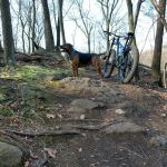 Down Cycles