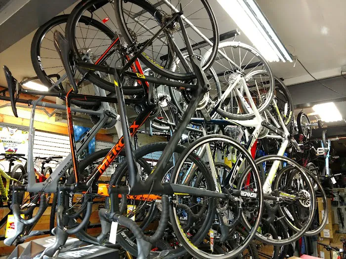 Down Cycles Picture 5