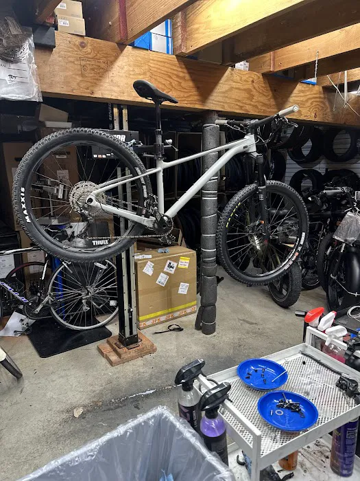 Croton E-Bikes Picture 4