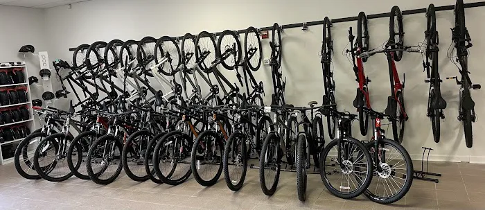 Crank Cycles Picture 6