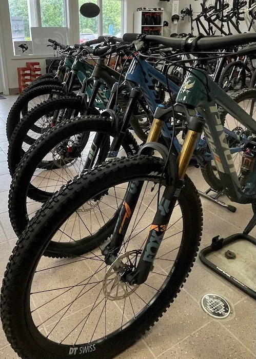 Crank Cycles Picture 5