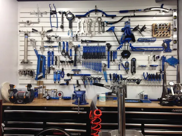 Fusion Cycles Inc Picture 5