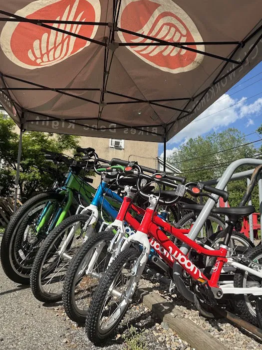 Tenafly Bicycle Workshop Picture 6