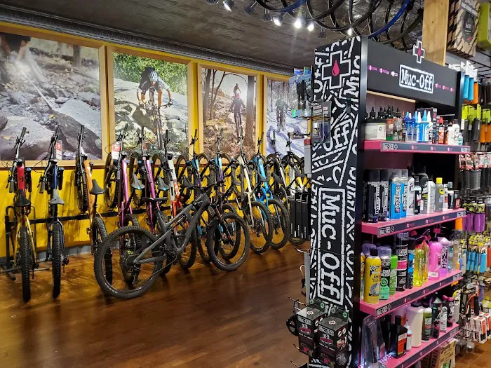 Tenafly Bicycle Workshop Picture 10