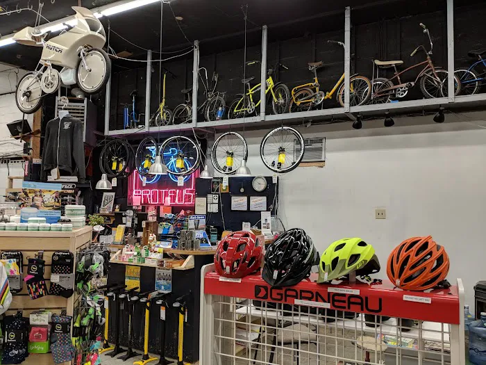 Proteus Bicycles Picture 4