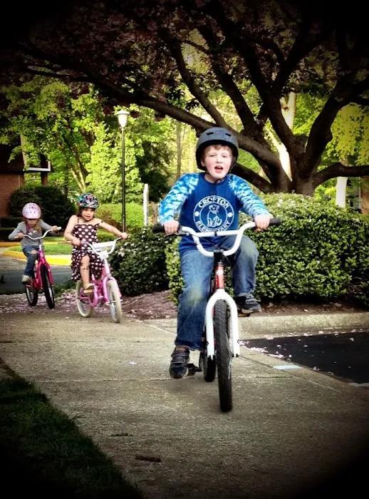 Family Bike Shop Picture 5