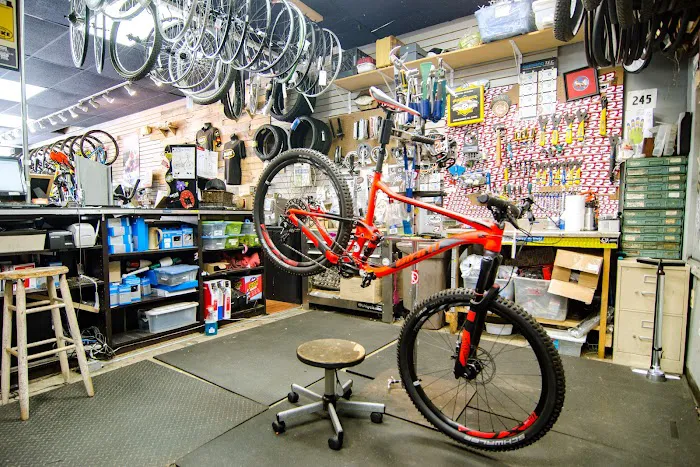 Family Bike Shop Picture 6
