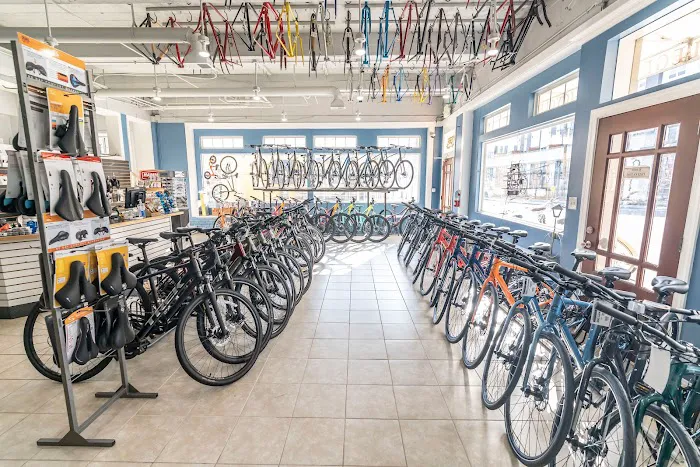College Park Bicycles Picture 3