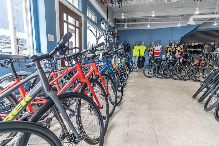 College Park Bicycles Picture 6