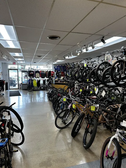 The Bicycle Place Picture 1
