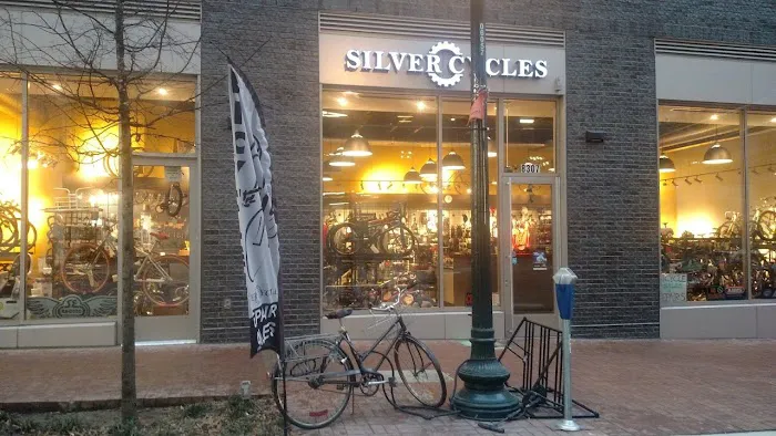 Silver Cycles Picture 1