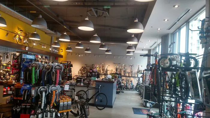 Silver Cycles Picture 5