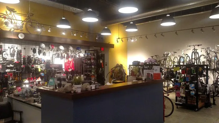 Silver Cycles Picture 9