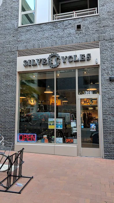 Silver Cycles Picture 10