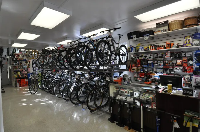 Takoma Bicycle Picture 2